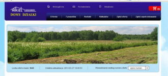 Realizacja serwisu internetowego: Nieruchomości Nikiel